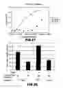 Fig. 27 - RNA APTAMERS AND METHODS FOR IDENTIFYING THE SAME