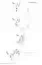 Fig. 05 - Modified oligonucleotides for telomerase inhibition