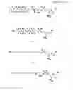 Fig. 07 - Modified oligonucleotides for telomerase inhibition