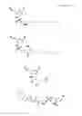 Fig. 08 - Modified oligonucleotides for telomerase inhibition