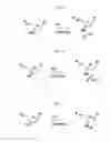 Fig. 10 - Modified oligonucleotides for telomerase inhibition