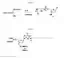 Fig. 11 - Modified oligonucleotides for telomerase inhibition