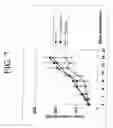 Fig. 16 - Modified oligonucleotides for telomerase inhibition