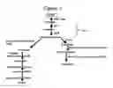 Fig. 02 - ENHANCED ACCUMULATION OF CAROTENOIDS IN PLANTS