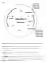 Fig. 02 - Process for the fermentative preparation of sulphur-containing amino acids
