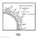 Fig. 02 - High-throughput screening method for the identification of biomarkers, therapeutic targets or therapeutic agents
