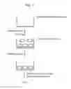 Fig. 02 - Method for screening lactic acid bacteria having immunoregulatory function