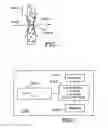 Fig. 04 - Multiplexed diagnostic platform for point-of care pathogen detection