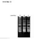 Fig. 25 - Reagents and methods of PCR