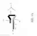 Fig. 02 - Sequence amplification with loopable primers