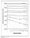 Fig. 04 - Quantification of human mitochondrial DNA using synthesized DNA standards