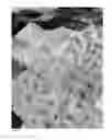 Fig. 06 - Quilting Fabric Cutting Template and Associated Method of Using the Same