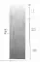 Fig. 09 - Door skin, a method of etching a plate for forming a wood grain pattern in the door skin, and an etched plate formed therefrom