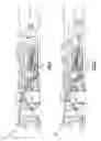 Fig. 02 - Reverse flow gas turbine engine core