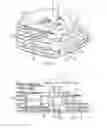 Fig. 04 - Engine cylinder head intake port configuration