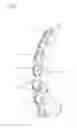 Fig. 09 - CHAIN GUIDE AND CHAIN TENSIONER DEVICE