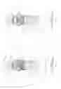 Fig. 04 - Ambidextrous bolt catch and magazine release and firearm