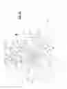 Fig. 28 - Archery bow
