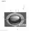 Fig. 11 - GAS SENSOR AND GAS SENSOR STRUCTURAL BODY