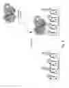 Fig. 05 - Bioelectronic binding assay using peak profiling