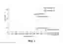 Fig. 02 - Immunochromatography devices, methods, and kits