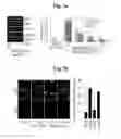 Fig. 22 - Pharmaceutical compositions comprising inhibitors of zinc-ZIP8-MTF1 as active ingredients for preventing or treating a joint disease