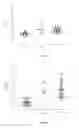 Fig. 06 - Method for diagnosing neurodegenerative diseases