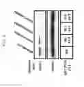 Fig. 03 - SATB1:  A DETERMINANT OF MORPHOGENESIS AND TUMOR METASTATIS