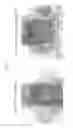 Fig. 19 - SATB1:  A DETERMINANT OF MORPHOGENESIS AND TUMOR METASTATIS
