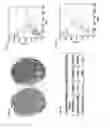 Fig. 02 - Systems and methods for diagnosing and treating cancer