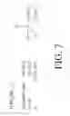 Fig. 08 - Method of isolating and identifying fruit oligosaccharides from ripe banana fruit