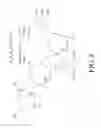 Fig. 09 - Method of isolating and identifying fruit oligosaccharides from ripe banana fruit
