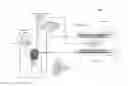 Fig. 01 - Methods, systems and apparatuses for rapid segmented, accelerated, and simultaneous multi-slice echo planar imaging