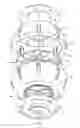 Fig. 06 - MRI phantom, method for making same and acquiring an MRI image