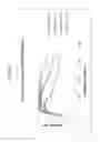 Fig. 22 - Durable and scratch-resistant anti-reflective articles