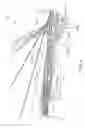 Fig. 06 - PROJECTION LENS AND PROJECTOR