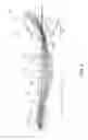 Fig. 07 - PROJECTION LENS AND PROJECTOR