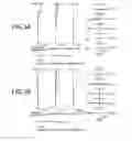 Fig. 04 - Variable magnification optical system, optical device, and production method for variable magnification optical system