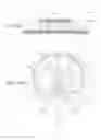 Fig. 06 - Timepiece with internal antenna