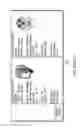 Fig. 06 - Characterizing states of subject