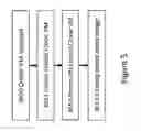 Fig. 06 - Facilitating test failover using a thin provisioned virtual machine created from a snapshot
