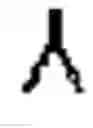 Fig. 02 - Biopsy mapping tools