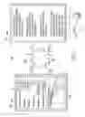 Fig. 02 - Personalized management and comparison of medical condition and outcome based on profiles of community patients