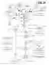 Fig. 25 - MEDICATION DELIVERY SYSTEM