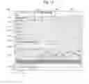 Fig. 09 - MEDICAL INFORMATION ANALYSIS SYSTEMS AND METHODS
