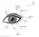 Fig. 02 - SYSTEMS AND METHODS FOR USING EYE SIGNALS WITH SECURE MOBILE COMMUNICATIONS