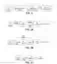 Fig. 03 - Anonymization of facial images