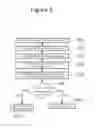 Fig. 06 - Process for performing transactions