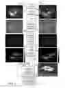 Fig. 02 - Relating to image processing
