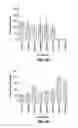 Fig. 03 - METHOD FOR QUANTIFYING COLLAGEN FIBER ALIGNMENT IN PERIPROSTHETIC TISSUE